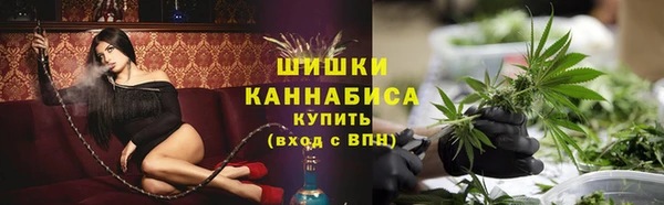 ALPHA PVP Иннополис