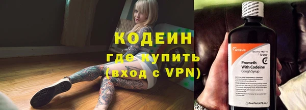тгк Инсар