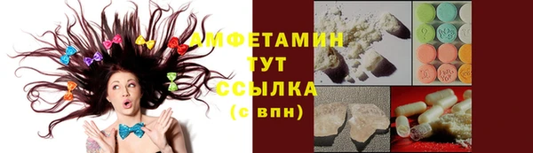 МДПВ Инта