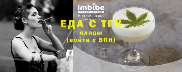 тгк Инсар