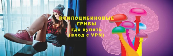 МДПВ Инта