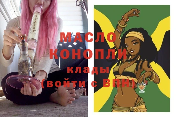 тгк Инсар