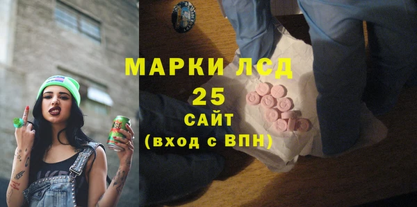 тгк Инсар