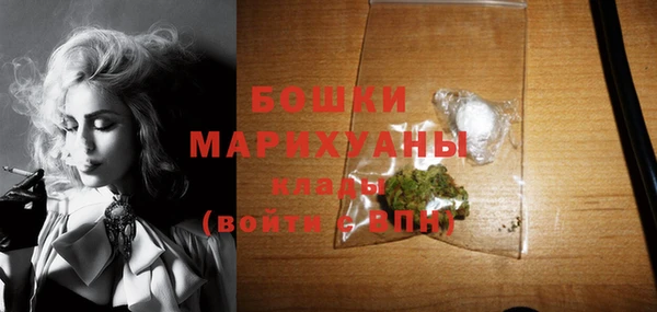МДПВ Инта