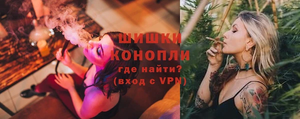тгк Инсар