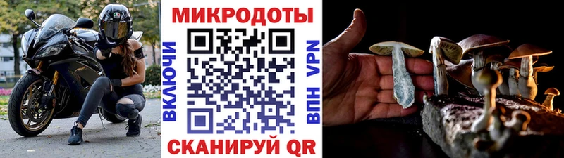 Галлюциногенные грибы MAGIC MUSHROOMS  Купить  Красноуральск 